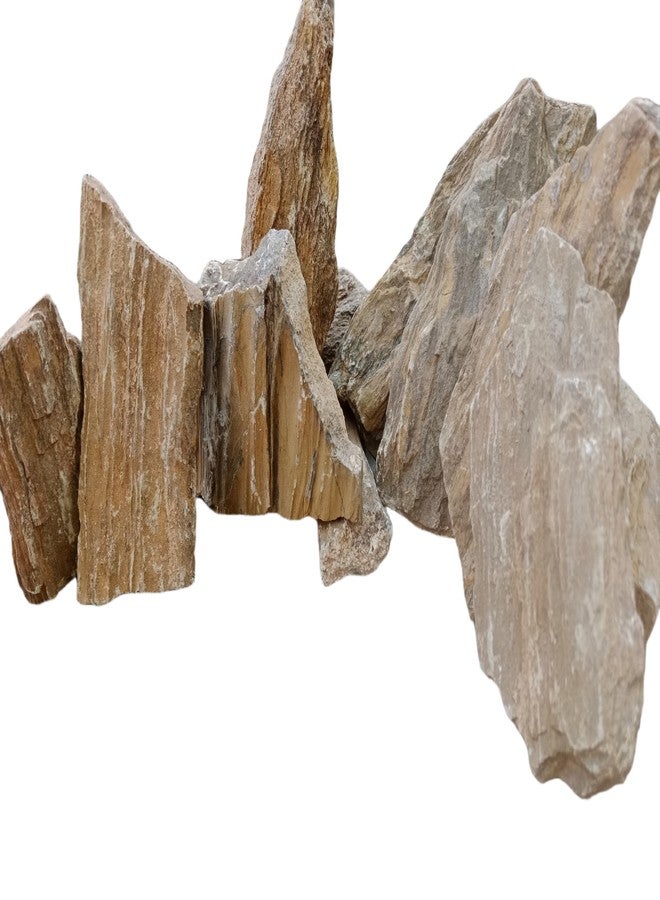 RUKDA صخور حجر رملي من خشب الساج الطبيعي من روكدا® - أحجار زخرفية لأحواض السمك والحدائق والديكور المنزلي - تنسيق أحواض السمك، وتنسيق الحدائق، وأحواض التيراريوم، وأحواض الأسماك - 1 كجم - Image 4